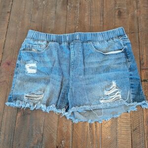 YMI Blue Distressed Jean Shorts